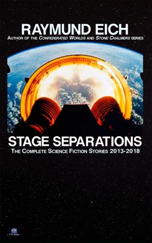 Cover of the book Stage Separations by Raymund Eich