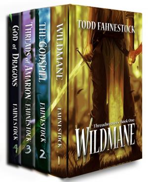 Cover of the book Threadweavers Boxed Set by Todd Fahnestock