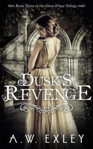 Book cover of Dusk's Revenge