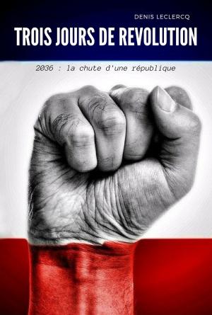 Cover of Trois jours de révolution
