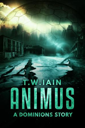 Book cover of Animus