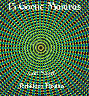 Cover of 13 Goetic Mantras