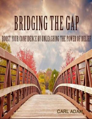 Book cover of Bridging The Gap