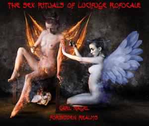 bigCover of the book The Sex Rituals of Lucifuge Rofocale by 