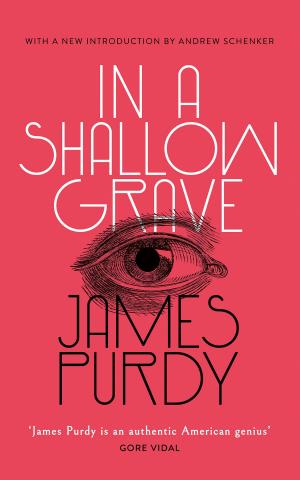 Book cover of In a Shallow Grave