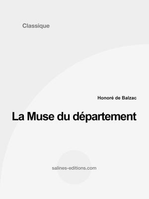 Cover of the book La Muse du département by Honoré Lacaze