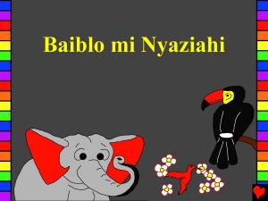 Book cover of Baiblo mi Nyaziahi