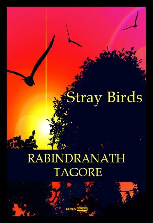 Book cover of Stray Birds