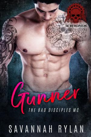 Cover of the book Gunner by Kate Angell