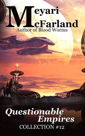 Cover of the book Questionable Empires by BRENDA WALKER