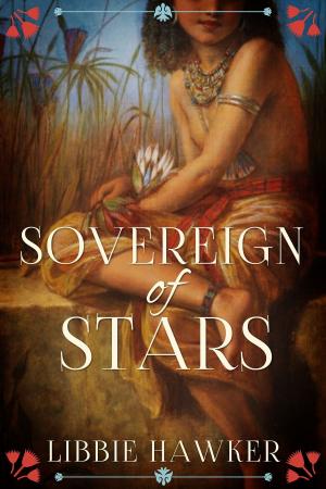 Cover of the book Sovereign of Stars by Dan Consiglio, Brad DeMarea