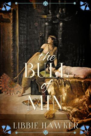 Cover of the book The Bull of Min by Ben Orlin