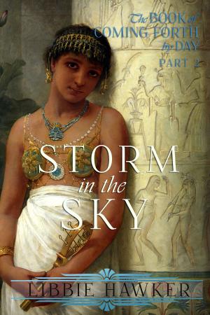 Book cover of Storm in the Sky