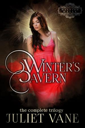 Book cover of Winter's Cavern
