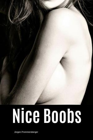 Cover of the book Nice Boobs by J Bryden Lloyd