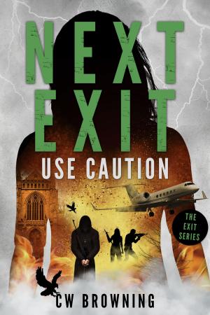 Book cover of Next Exit, Use Caution