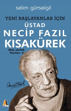 Cover of the book Üstad Necip Fazıl Kısakürek by Audrey Brown