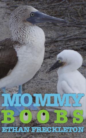 Book cover of Mommy Boobs