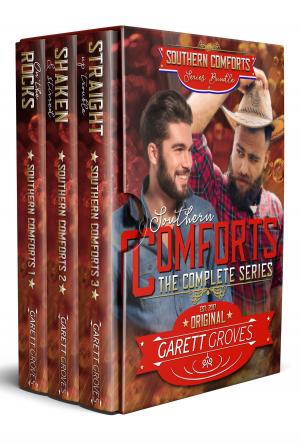 Book cover of The Southern Comforts Series