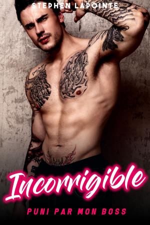 Cover of the book Incorrigible by Stephen Lapointe