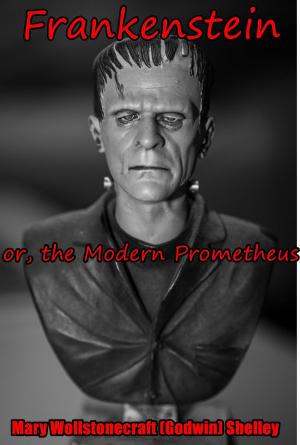 Book cover of Frankenstein; or, the Modern Prometheus