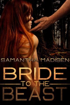 Cover of the book Bride to the Beast by JB Richards