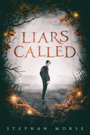Cover of the book Liars Called by K.M. Aul