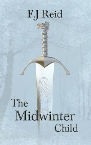 Cover of the book The Midwinter Child by Amanda Dubin