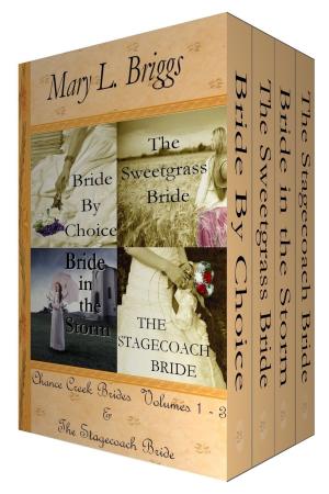 bigCover of the book Chance Creek Brides: Volumes 1-3 & The Stagecoach Bride by 