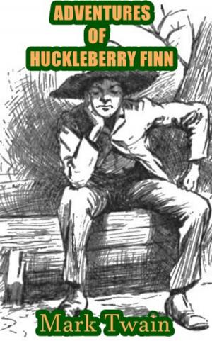 Cover of ADVENTURES OF HUCKLEBERRY FINN