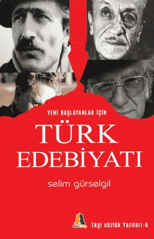 Cover of Türk Edebiyatı