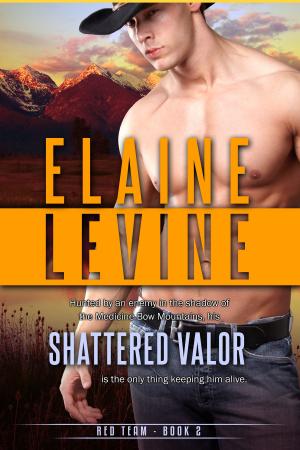 Book cover of Shattered Valor