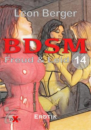 Cover of the book BDSM 14 by Crystal Colbhie