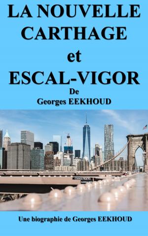 Book cover of LA NOUVELLE CARTHAGE et ESCAL-VIGOR