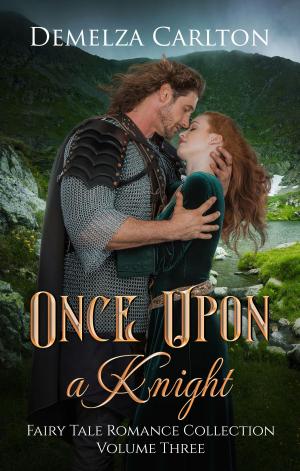 Book cover of Once Upon a Knight