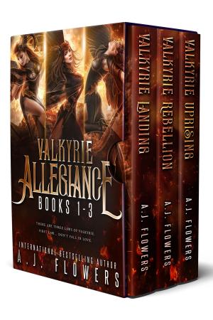 Book cover of Valkyrie Allegiance Boxed Set