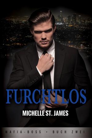 Cover of the book Furchtlos by Laurie Boris