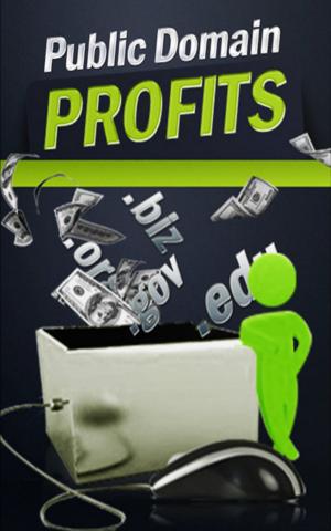 Cover of the book Public Domain Profits by Jürgen Klaricc