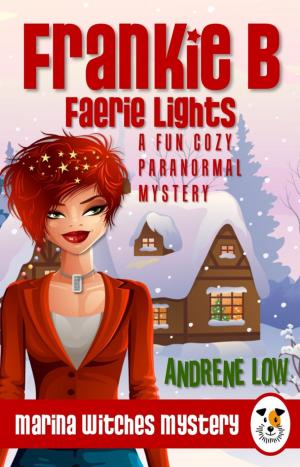 Book cover of Frankie B - Faerie Lights