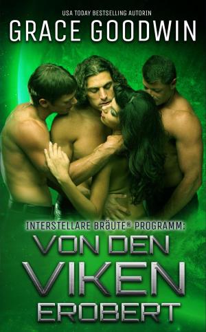 Cover of Von den Viken erobert