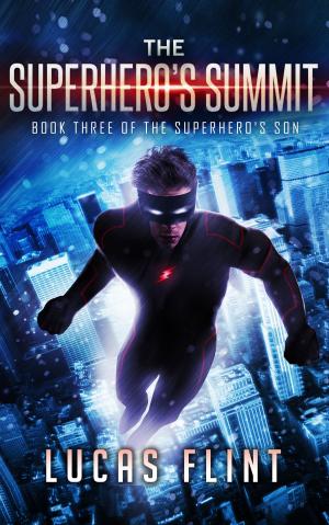 Cover of the book The Superhero's Summit by Harry McDonald