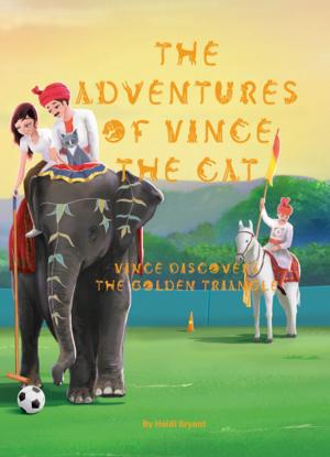 Book cover of US English - The Adventures of Vince The Cat - Vince Discovers the Golden Triangle