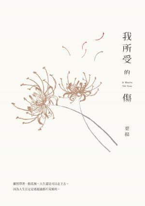 Cover of the book 我所受的傷 by Dave Angel