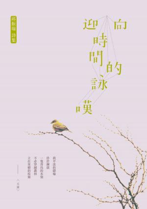 Cover of the book 迎向時間的詠嘆 by Maria V A Johnson