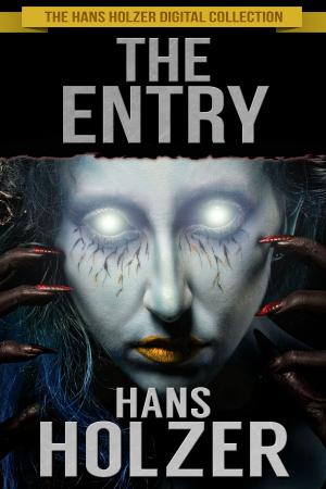 Cover of the book The Entry by Devan Sagliani