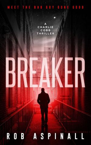 Cover of the book Breaker by Colin Galbraith