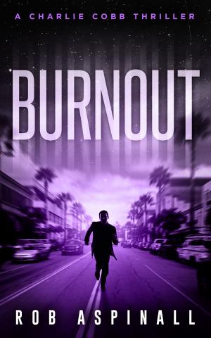 Cover of the book Burnout by Charlotte Armstrong