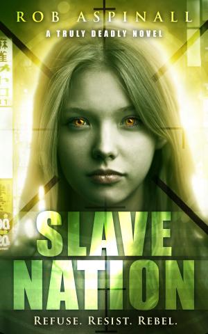 Cover of the book Slave Nation by Claire Monserrat Jackson
