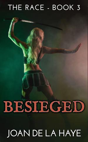 Cover of the book Besieged by J.A. van der Vaart