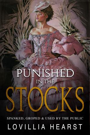 Cover of the book Punished In The Stocks by Lovillia Hearst